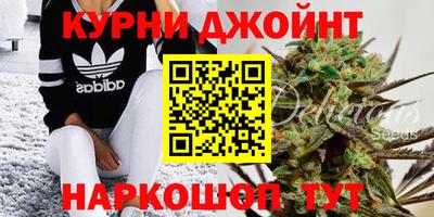 Альфа ПВП Малгобек