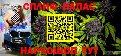 Альфа ПВП Малгобек