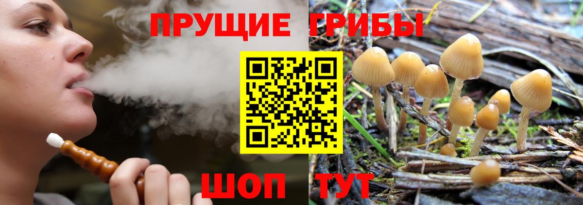 Галлюциногенные грибы GOLDEN TEACHER  Вход с VPN  Улан-Удэ 